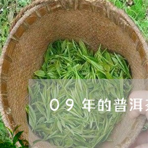 09年的普洱茶很好喝吗/2023110517949