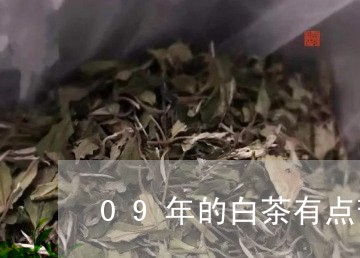 09年的白茶有点苦/2023121566926