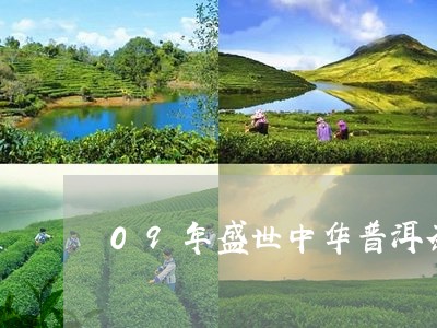 09年盛世中华普洱茶/2023062346350