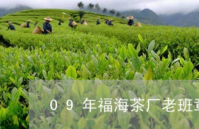 09年福海茶厂老班章/2023092410715