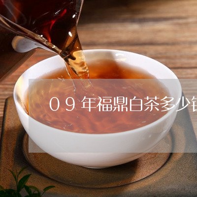 09年福鼎白茶多少钱/2023120627250