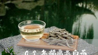 09年福鼎老白茶/2023090519673