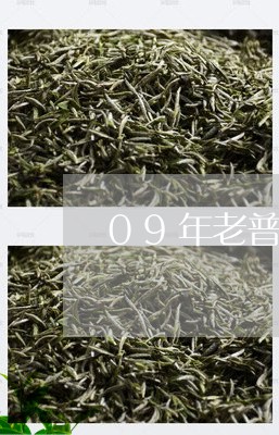 09年老普洱茶饼卖多少钱/2023051146380