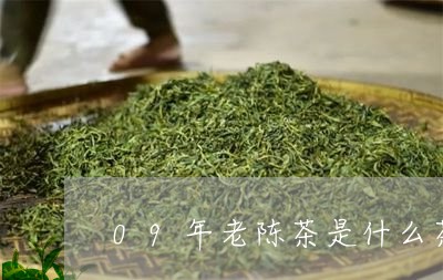 09年老陈茶是什么茶/2023071479481