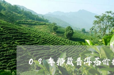 09年邦崴普洱茶价格/2023073136263