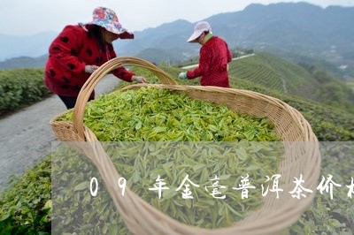 09年金毫普洱茶价格及图片/2023052824947