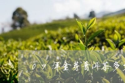 09年金芽普洱茶多少/2023061696172