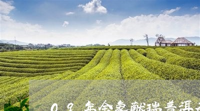 09年金象献瑞普洱茶/2023092825958