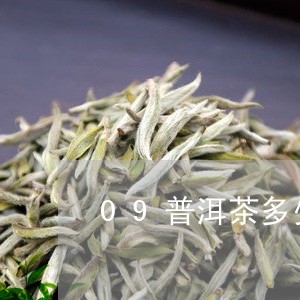 09普洱茶多少钱一斤/2023092514949