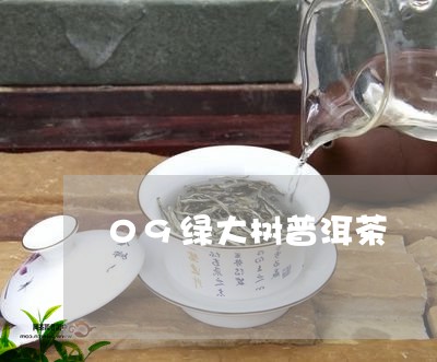 09绿大树普洱茶/2023082691960