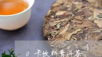 0卡饮料普洱茶/2023120352514