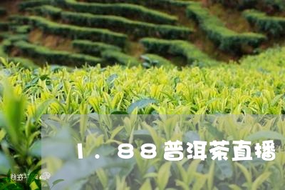 1.88普洱茶直播/2023110361825