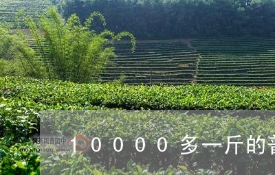 10000多一斤的普洱茶/2023102583836