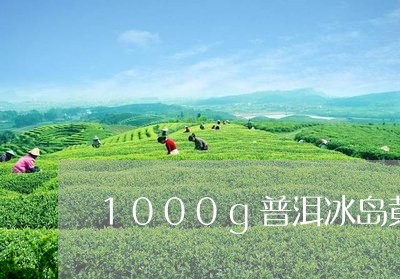 1000g普洱冰岛黄金砖生茶/2023053160481