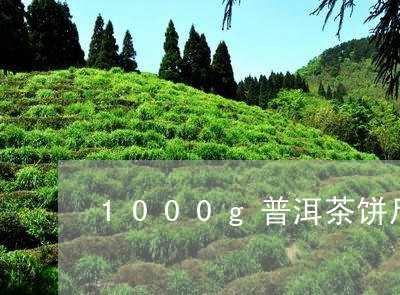 1000g普洱茶饼尺寸/2023122013825