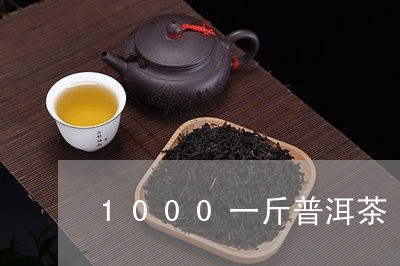 1000一斤普洱茶/2023112617474