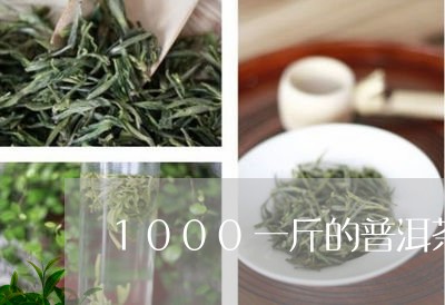 1000一斤的普洱茶怎么样/2023052746582