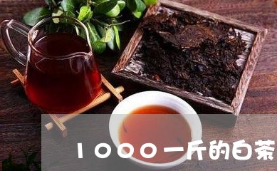 1000一斤的白茶/2023071484160