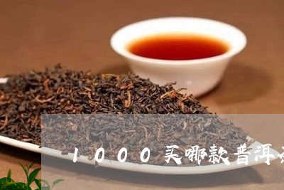 1000买哪款普洱茶/2023100725947