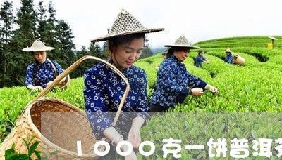 1000克一饼普洱茶饼直径多大/2023060259403