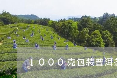 1000克包装普洱茶/2023093070748