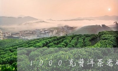 1000克普洱茶老砖/2023100760683