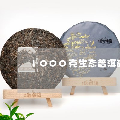 1000克生态普洱砖/2023092432493