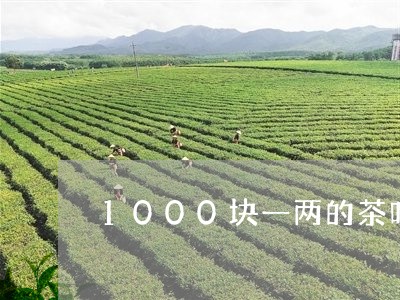 1000块一两的茶叶/2023061120604