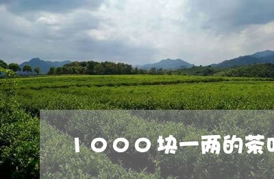 1000块一两的茶叶/2023092258591