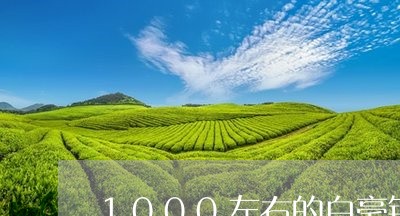 1000左右的白毫银针/2023092470704