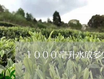 1000毫升水放多少红茶叶/2023052746159