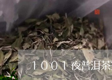 1001夜普洱茶蜜香/2023120676138