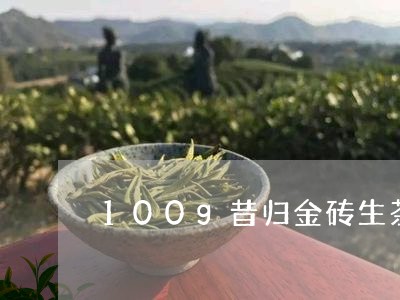 100g昔归金砖生茶/2023061043168