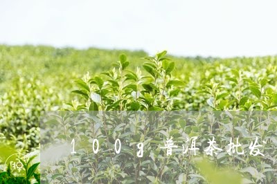 100g普洱茶批发/2023120473957