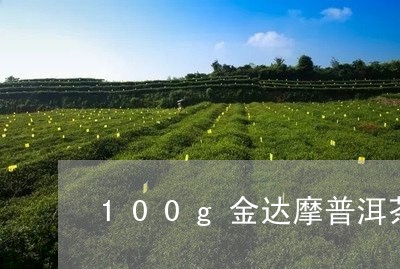 100g金达摩普洱茶/2023062129562