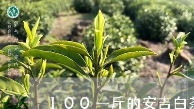 100一斤的安吉白茶/2023092726604