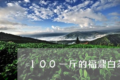 100一斤的福鼎白茶/2023120757590