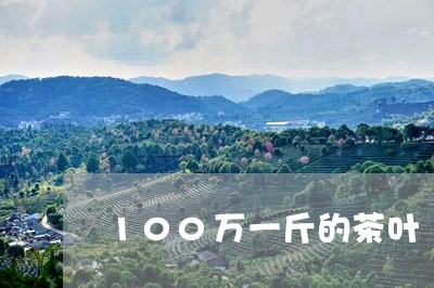 100万一斤的茶叶/2023042540895