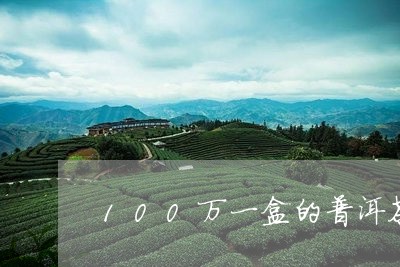 100万一盒的普洱茶/2023100646159