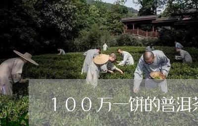 100万一饼的普洱茶/2023062707272