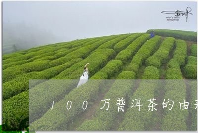 100万普洱茶的由来/2023100864959