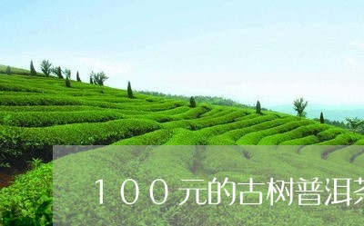 100元的古树普洱茶/2023073184037