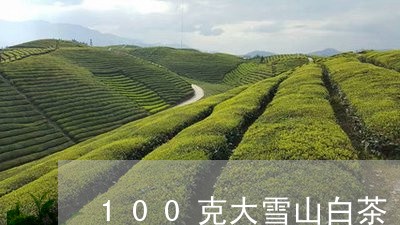 100克大雪山白茶/2023071351604