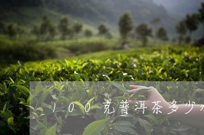 100克普洱茶多少水煮/2023101781737