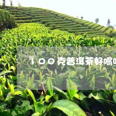 100克普洱茶好喝吗/2023100770594