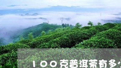 100克普洱茶有多少/2023062721794