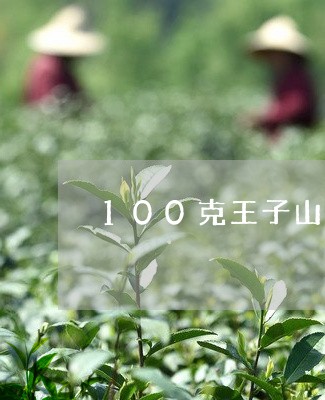 100克王子山普洱茶/2023080180696