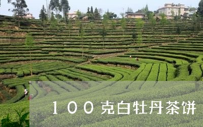 100克白牡丹茶饼/2023120548793