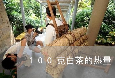 100克白茶的热量/2023071395146