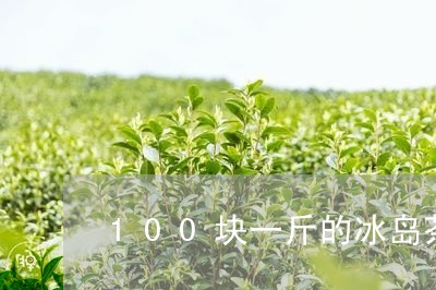 100块一斤的冰岛茶真吗/2023051275036